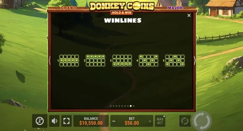 Donkey Coins Hold & Win - ushindi mkubwa katika hali maalum